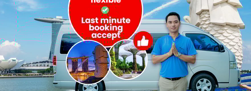 Singapour : Visite Privée et Personnalisable de la Ville