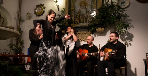 Cordoba: Flamenco Show and Historical Dinner in a Courtyard