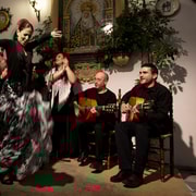 Córdoba: Flamenco-Show und Gourmet-Dinner in einem Patio