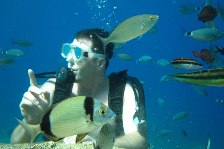 Antalya/Kemer: Scuba Diving Experience with Lunch & Pick up Diving Including Transfers from Kemer,Tekirova,Beldibi,Kiris