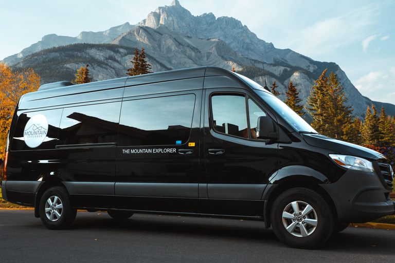Private Tour: Lake Louise, Moraine, Peyto & Johnston Canyon