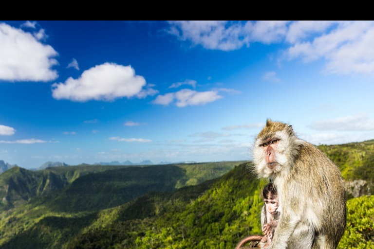 South Mauritius Discovery Tour With Guide
