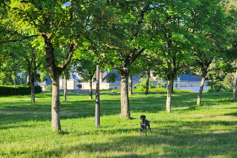 Vanuit Blois: Fietsen met honden