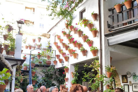 Concours des patios de Cordoue : une expérience unique mêlant fleurs et tradition.Concours des cours de Cordoue : une expérience unique de fleurs et de tradition.