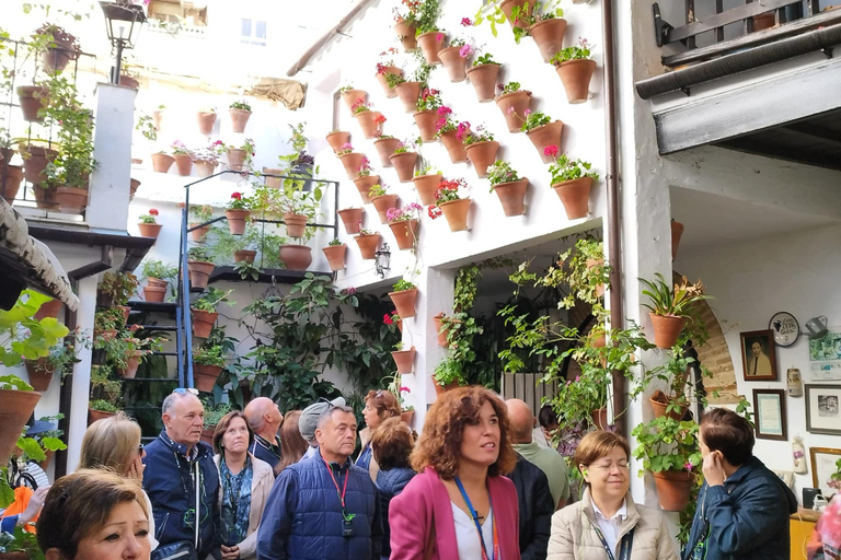 Concours des patios de Cordoue : une expérience unique mêlant fleurs et tradition.Concours des cours de Cordoue : une expérience unique de fleurs et de tradition.