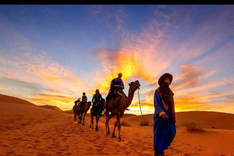 Marrakech: Agafay Desert Quad & Camel Rides With Dinner Show