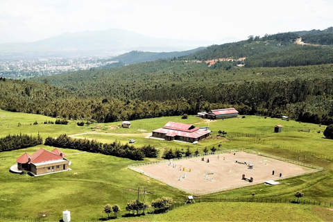 Entoto Horse Riding, Oromo Village & Nature Experience