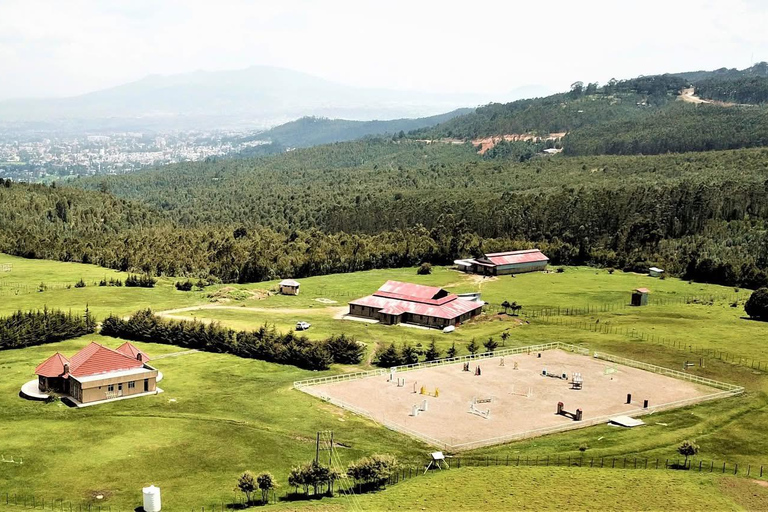 Entoto Horse Riding, Oromo Village & Nature Experience