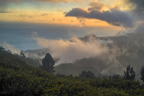 Madeira: Pico do Arieiro Sunset Experience Above The Clouds