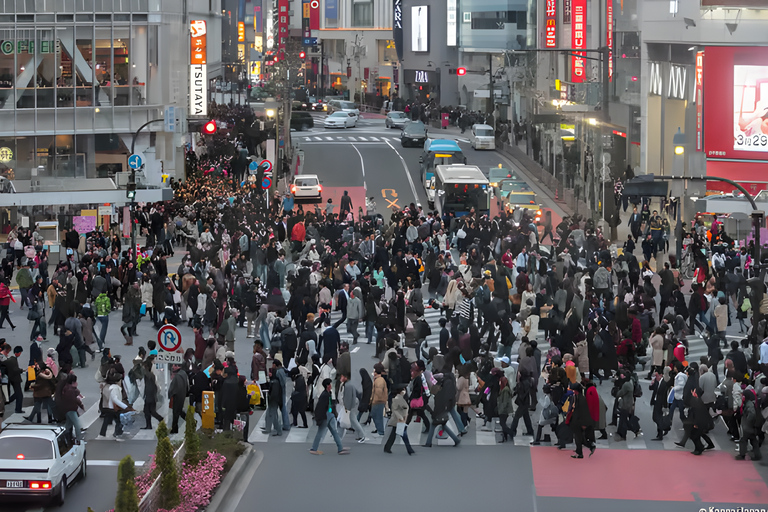 Tokyo Private Guided Tour With Hotel Pickup and Drop-off