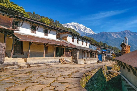 Pokhara: 3-dagars Ghandruk &amp; Landruk Easy Trek i Himalaya