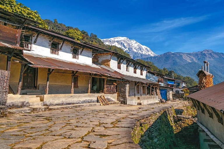 Pokhara : Sarangkot & Kaskikot Easy Day Hike