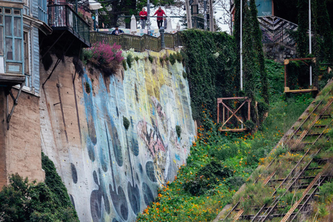 Valparaiso and Viña del Mar: Private Tour from Santiago