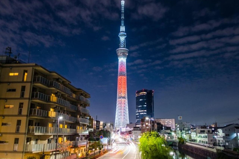 Tokyo City Customizable Guided Tour in Luxury Private Car Tokyo Custom Tour: Private Vehicle & English-Speaking (5)