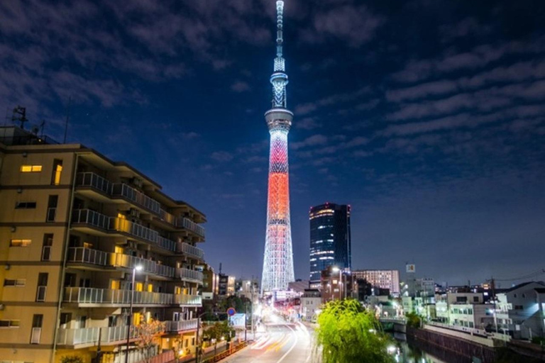 Tokyo City Customizable Guided Tour in Luxury Private Car Tokyo Custom Tour: Private Vehicle & English-Speaking (5)
