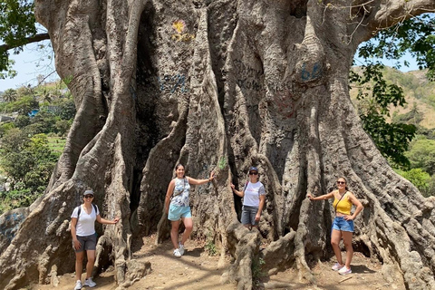 From Praia: Transfer Tour to Tarrafal with Culture and Tasting Transfer Tour: Praia–Tarrafal with Cultural Experiences & Local Tasting