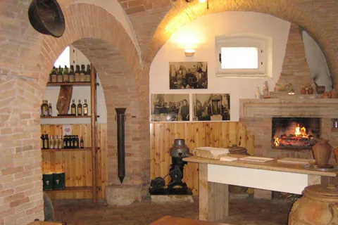 Perugia: Olive Oil Tasting & Mill Guided Visit