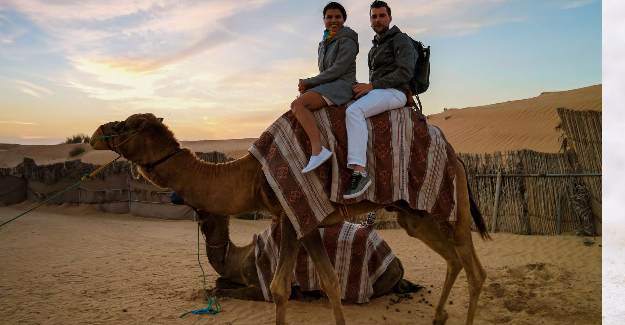 Doha: Dune Safari, Camel Ride, & Sandboarding with Transfer photo 5