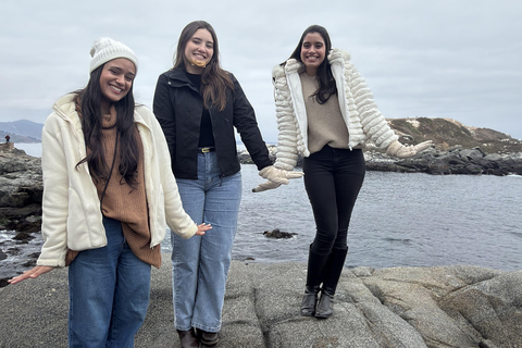 From Santiago: Papudo Horseback Ride & Penguin Watching