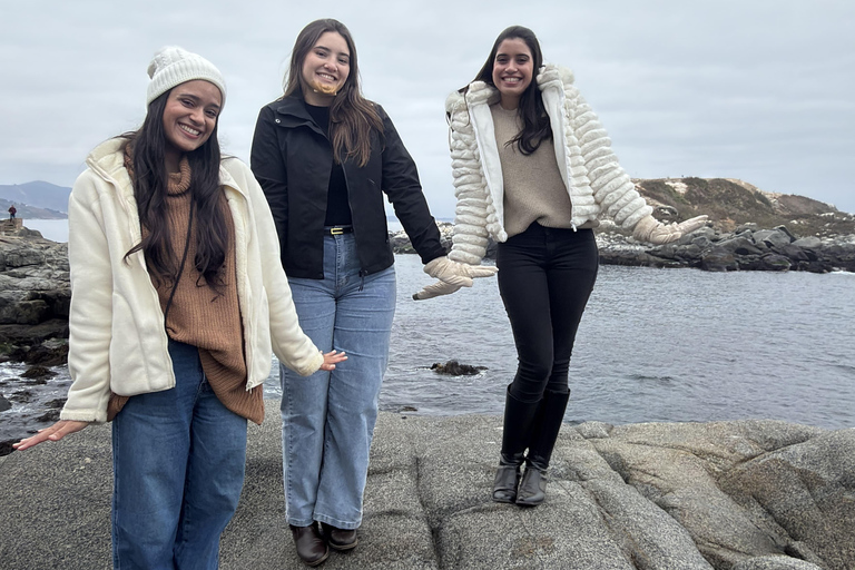 From Santiago: Papudo Horseback Ride & Penguin Watching