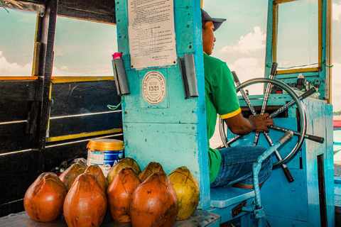 From Ho Chi Minh City: Upper Mekong River Full-Day Tour