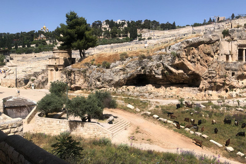The Israel Museum and Ein Kerem Jerusalem Tour