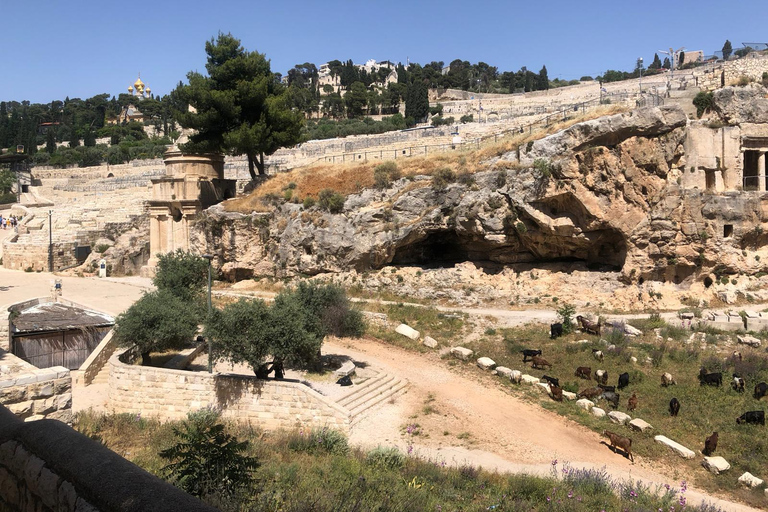 The Israel Museum and Ein Kerem Jerusalem Tour