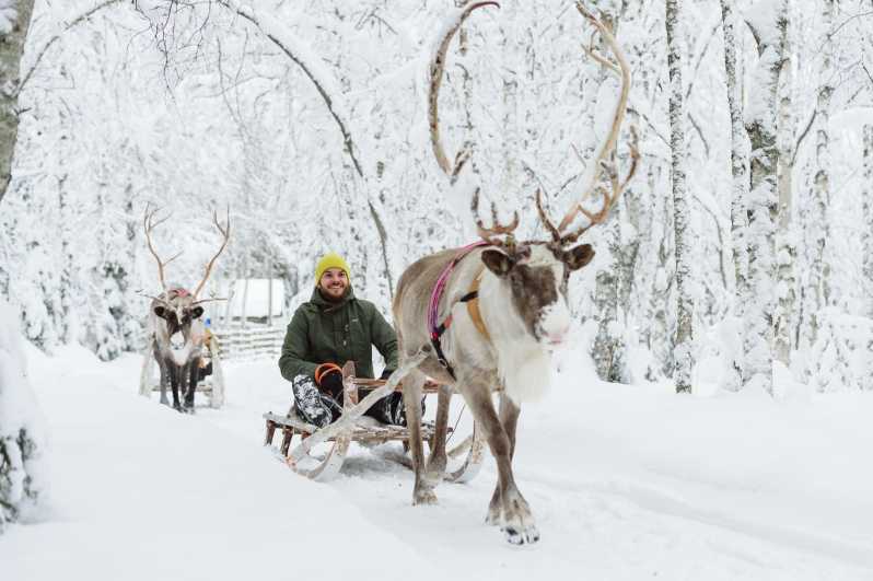From Rovaniemi: Reindeer Farm Visit and Sleight Ride
