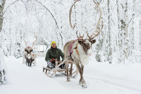 Rovaniemi: Paseo en trineo de Papá Noel, huskies y renos