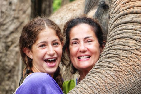 Experiencia exclusiva de medio día con animales gigantes en familia