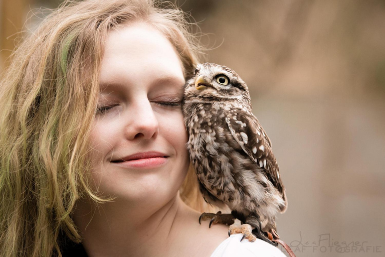 Sessione di assaggio di falconeria VIP