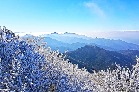 Da Seul: La bellezza innevata del Parco Nazionale di Deogyusan