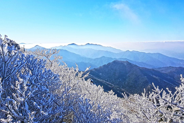 Desde Seúl: La belleza nevada del Parque Nacional Deogyusan