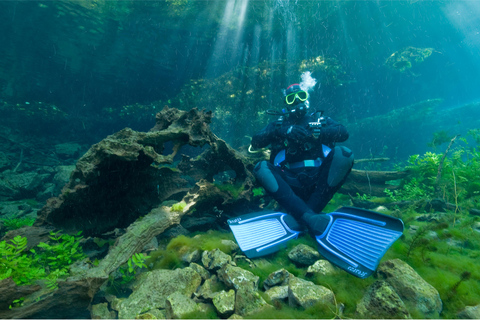 Lago Ohrid: prueba el buceo en la Bahía de los Huesos.Lago Ohrid: prueba el buceo en la Bahía de los Huesos