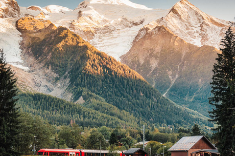 Excursión privada de un día desde Ginebra a Chamonix Mont Blanc