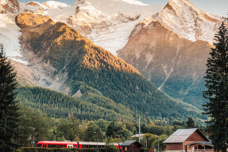Excursión privada de un día desde Ginebra a Chamonix Mont Blanc