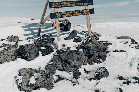 Kilimanjaro: Rongai Route 6-Day Hiking Adventure