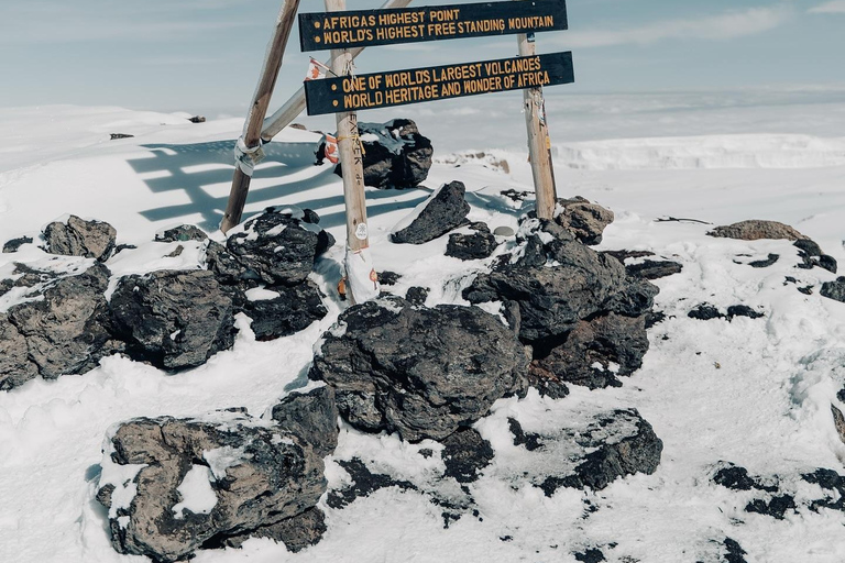 Kilimanjaro: Rongai Route 6-Day Hiking Adventure