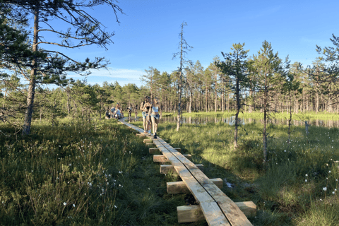 The Estonian Day Retreat at Lahemaa National Park
