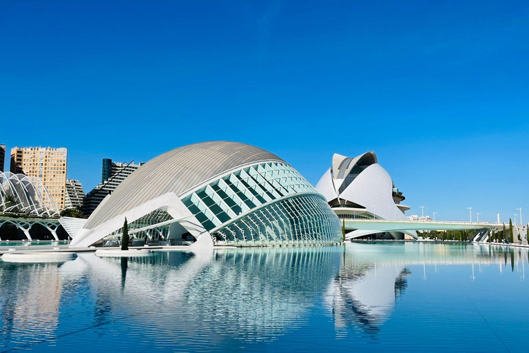 Die Stadt der Künste und Wissenschaften in Valencia