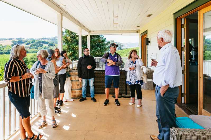 Da San Francisco: tour del vino di un'intera giornata nella Napa e nella Sonoma Valley