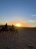 Marraqueche, Agafay Desert Sunset Jantar Espetáculo - Hizvo
