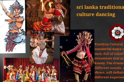 Kandy: City Tour with Temple of the Tooth & Tea Garden