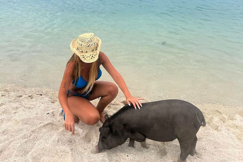 Koh Samui: Privé Longtail Boot naar Varkenseiland met SnorkelKoh Samui: Privé Longtail Tour naar Varkenseiland met Snorkel