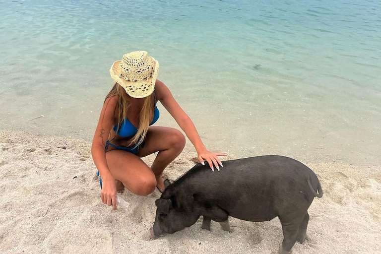 Koh Samui: Privé Longtail Boot naar Varkenseiland met SnorkelKoh Samui: Privé Longtail Tour naar Varkenseiland met Snorkel