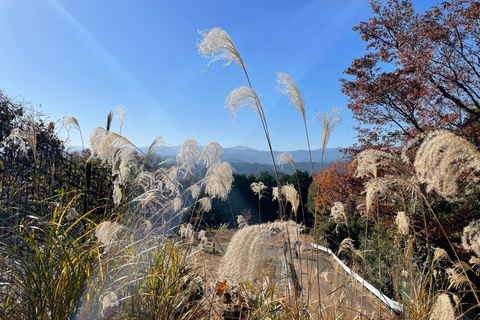 From Tokyo: Mountain Ridge Hike &amp; Scenic Waterfall Day TourHanno Ridge and Waterfall Guided Hiking Tour (1-2 People)