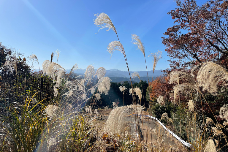 From Tokyo: Mountain Ridge Hike &amp; Scenic Waterfall Day TourHanno Ridge and Waterfall Guided Hiking Tour (1-2 People)