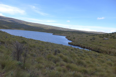 Da Nairobi: Esperienza di trekking di 4 giorni sul Monte KenyaDa Nairobi: 4 giorni di trekking sul Monte Kenya