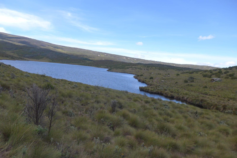 Da Nairobi: Esperienza di trekking di 4 giorni sul Monte KenyaDa Nairobi: 4 giorni di trekking sul Monte Kenya