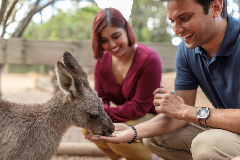 Sydney: Blue Mountains Scenic World, Wildlife Park and Lunch Departure from St. Andrew's Cathedral @ 7.30am